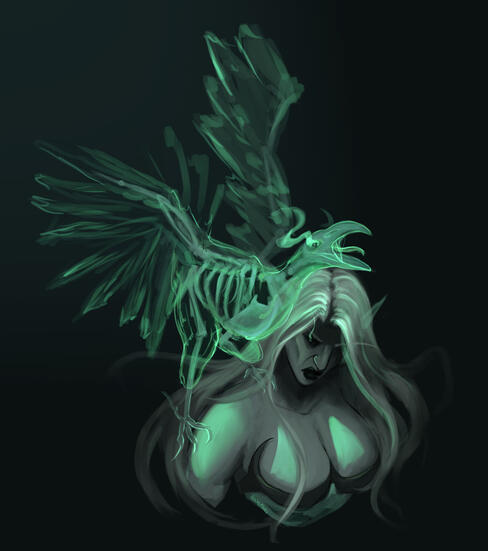 vidari portrait